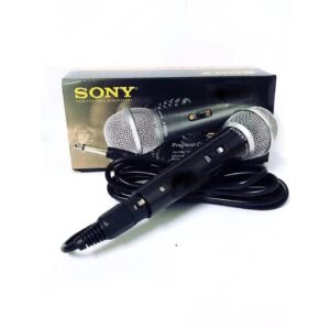 Lucky Karaoke Microphone