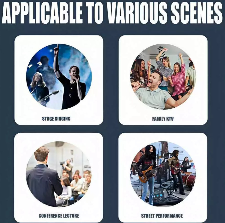 KS-9000H Platinum Karaoke Dynamic Microphone Professional Wired MIC For Videoke Recording KTV System - Image 4