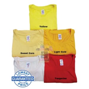 AIIZ Plain Adult Tees Round Neck by united shirts